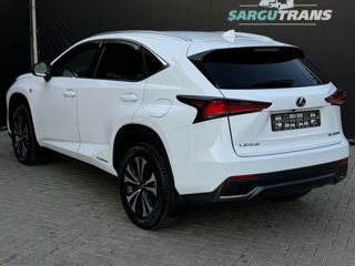 Lexus NX Series foto 3