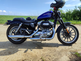 Harley - Davidson Sportster 883 foto 2