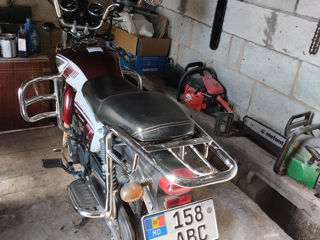 Alpha Moto Aplha