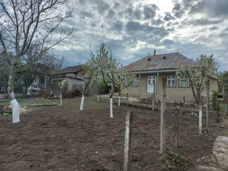 Vind casa  villa  . 40 km de la Iasi Romania si 30 de la Ungheni foto 2