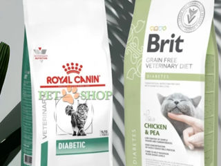 Royal Canin и Brit - лечебный сухой корм для кошек при сахарном диабете