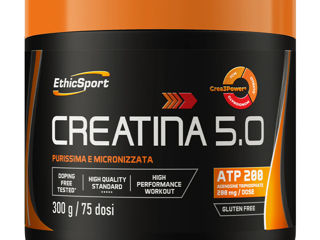 Creatină de la producători europeni – reduceri de până la 40%! 🔥 foto 5