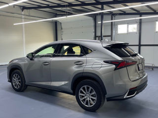 Lexus NX Series foto 5