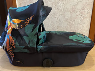 cybex birds of paradise bazar