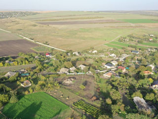 Teren / Cruzesti / Pret Bun foto 6