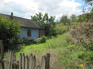 Два старых дома , на 16 сотках земли , на окраине  с.Лэпушна ,  6 км. от Хынчешть foto 2