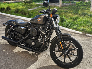 Harley - Davidson Sportster IRON 883 foto 2