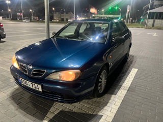 Nissan Primera foto 7