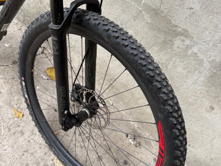 Specialized expert foto 5