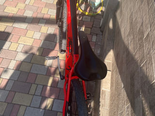 Conway hardtail foto 3