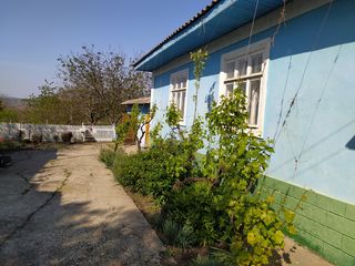 Дом в деревне Проданешть (Флорешский район) foto 4