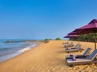 Отель-"Avani Kalutara Resort 4*" Прямой вылет на Шри-Ланку 25.01.2025! foto 7