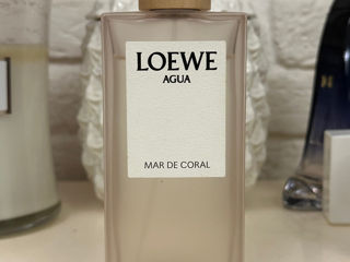 Agua Mar de Coral - Loewe