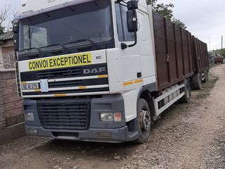 Daf Xf 95 foto 9