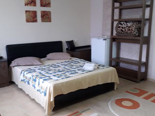 Apartament cu 1 cameră, 43 m², Centru, Chișinău, Chișinău mun. foto 4