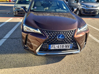 Lexus UX foto 6