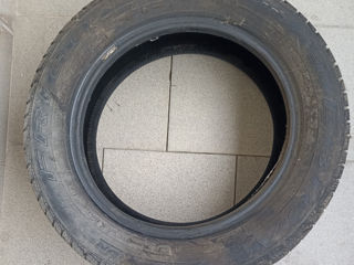 185/65R15 Debica Frigo