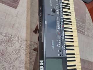 Korg pa 600 foto 4