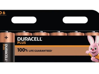 Baterii Duracell Plus D6, 100% Life guaranteed