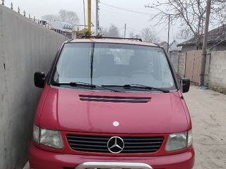 Mercedes Viano foto 5