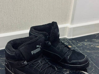 Puma originale