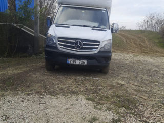 Mercedes Sprinter 313