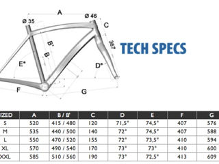 Dedacciai Assoluto RC   (Carbon) 53-58см foto 4