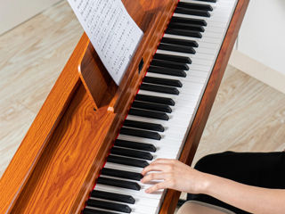 Цифровое пианино Divers D886 Cover Wood Brown (Новые, Гарантия, Рассрочка. Бесплатная доставка) foto 3