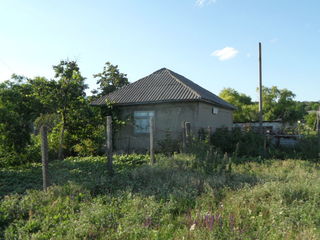 Продаю дом в г. Сынжерей. Vind casa in or. Sîngerei (Lazovsk) foto 4