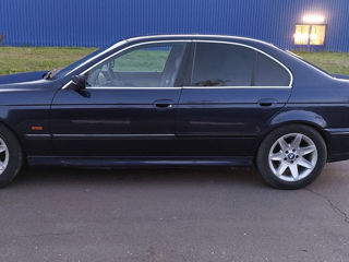 BMW 5 Series foto 4