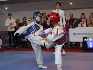 Taekwondo WT