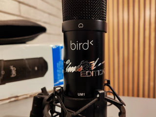 Bird UM-1 Limited Edition, Montesumus Modificated foto 2