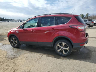 Ford Escape foto 2