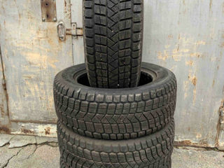 R19/55/275 Maxxis (Iarna)