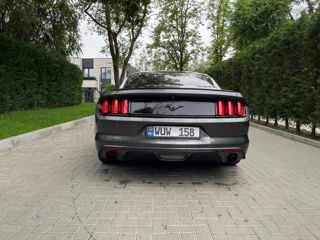 Ford Mustang foto 3