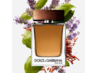 The One by Dolce Gabbana foto 2