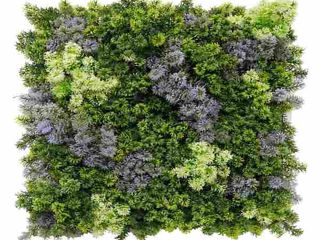 Искусственные зеленые панели.Panou verde din plante artificiale. foto 3