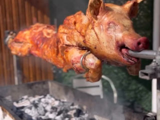 Servicii catering purceluș coorporativ foto 6