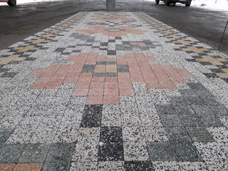 Укладка тротуарной плитки (pavaj) foto 7