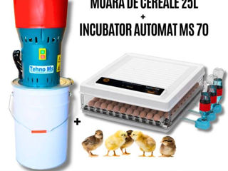 SET: Moară Holz Mill 25L + Incubator automat MS 70 - preț promoțional - livrare, credit !!! foto 2