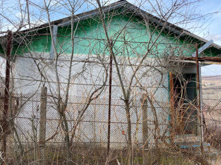 Продаю дачу рядом с с.Балцата Криулянского района. 15 км. от Кишинева. foto 1