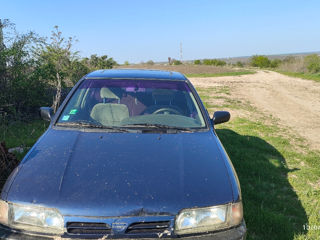 Nissan Primera foto 7