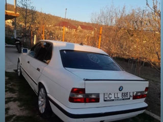 BMW 5 Series foto 4