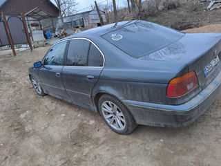 BMW 5 Series foto 3