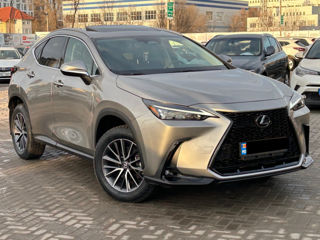 Lexus NX Series foto 4