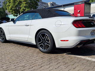 Ford Mustang foto 8