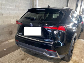 Lexus NX Series foto 3