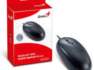 Mouse Genius Xscroll Optical Usb (Новая)  XScroll – это мышь, которая подходит как для правшей, так foto 5