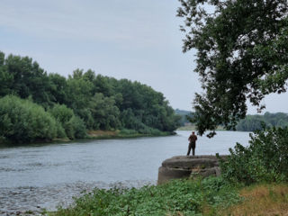 Дом в живописном пригороде Григориополя (левобережье) foto 3