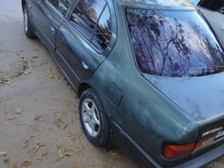 Nissan Primera foto 3